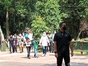 Potret Jokowi Kunjungi Solo Safari Bareng keluarga