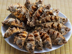 Ikan Mujair Awalnya Bukan Ikan Air Tawar, Ini Fakta Menariknya
