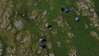 Otoritas setempat telah memperingatkan agar penduduk, juga hewan peliharaan dan ternak mereka, untuk tidak menyentuh air sungai.