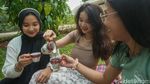 Serunya Habiskan Libur Panjang di Tebet Eco Park