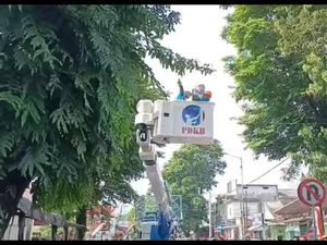 179 Pohon di Jember Dikepras Selama 3 Hari, Sejumlah Jalan Ditutup