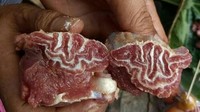 Irisan daging ini membuat takjub banyak orang. Bagaimana tidak, pada serat dagingnya membentuk lafaz Allah. Foto: Instagram / Twitter