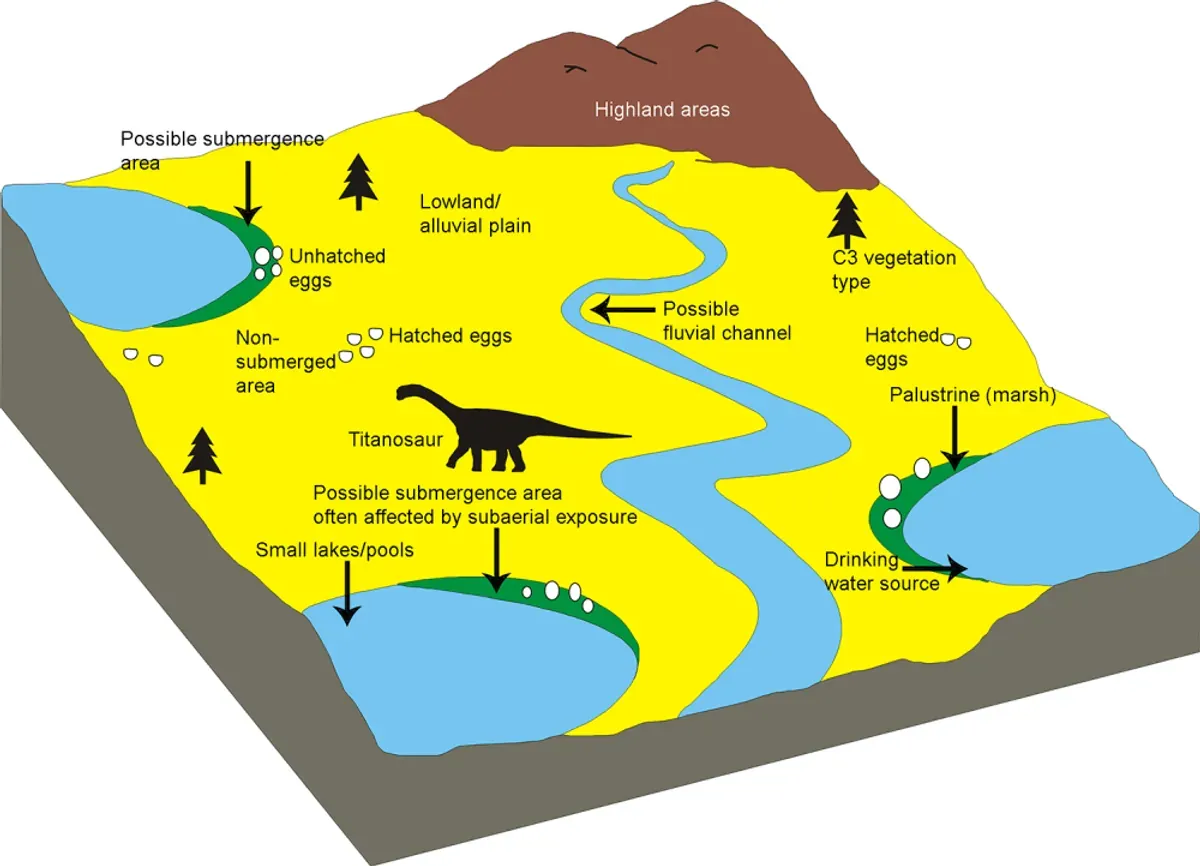 Some nests are made near lakes and ponds while others are deposited far from water.  Those buried nearby were at greater risk of being buried in sediment and preserved, whereas clutches placed far from the rim were more often found hatched with shell fragments.  Photo: Dhiman et al., 2023