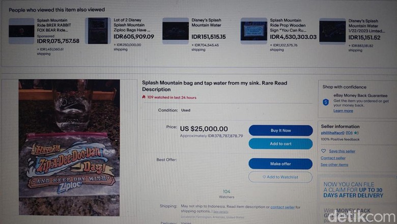 Foto tampilan di eBay orang-orang menjual air wahana Splash Mountain