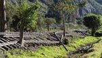 Jalur Kereta ke Machu Picchu Rusak Gegara Bentrok Polisi-Demonstran