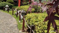 Daun Jarak Merah menghiasi danau mini dengan Torii Gate merah