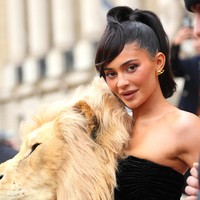 Meski ditegaskan dalam keterangannya bahwa hiasan tersebut merupakan faux-taxidermy atau bukan seni pengawetan kepala hewan yang bukan sebenarnya alias tiruan, koleksi tersebut mengundang reaksi pro dan kontra. (Foto: Getty Images/Jacopo Raule)