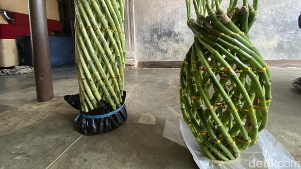 Maria Marlina (29) salah satu petani lucky bamboo (bambu hoki) di Sukabumi memperlihatkan rangkaian bambu hoki.