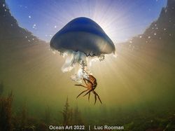 Karya Kontes Foto Ocean Art 2022 yang Mencengangkan Mata