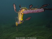 Ocean Art 2022