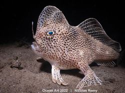 Karya Kontes Foto Ocean Art 2022 yang Mencengangkan Mata