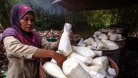 Seorang pekerja sedang merebus rebung di sentra pengolahan yang terletak di Desa Banyumeneng, Mranggen, Demak, Jawa Tengah, Selasa (24/1/2023).