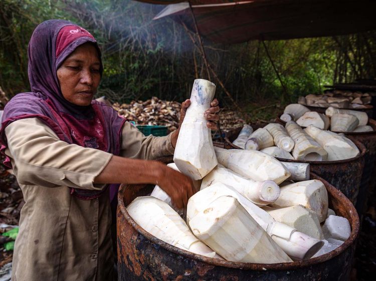Ini Toh Ternyata Bahan Baku Lumpia Semarang