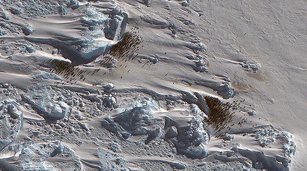 Penemuan koloni Penguin Kaisar di Antartika.