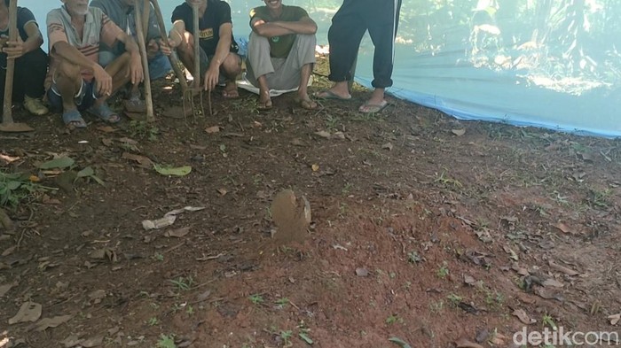 Polisi melakukan ekshumasi terhadap jasad Siti Fatimah, TKW asal Garut yang jadi korban pembunuhan berantai Wowon cs, Selasa (24/1/2023).