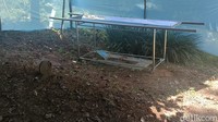 Proses ekshumasi dilakukan jajaran Labfor dan Subnit Jatanras Polda Metro Jaya, dibantu Polres Garut pada Selasa (24/1/2023) siang di makam Siti yang berada di TPU Rancabadak, Desa Tanjungjaya, Pakenjeng, Garut. Kegiatan pembongkaran kembali jasad Siti yang tewas dibunuh di Perairan Bali itu, dipimpin langsung Kasubnit Jatanras Polda Metro Jaya AKBP Indrawienny Panjiyoga. (Foto: Hakim Ghani/detikJabar)