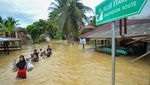 Potret Banjir di Padang Pariaman Imbas Curah Hujan Tinggi