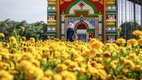Tempat wisata ini ditanami ribuan bunga dari berbagai jenis wahana permainan serta fasilitas penunjang lainnya, yang akan mempunyai daya tarik tersendiri serta memanjakan wisatawan saat berkunjung.  