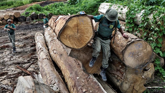 Upaya Memerangi Penggundulan Hutan Amazon Brasil An aerial view shows a deforested area during an operation to combat deforestation near Uruara, Para State, Brazil January 21, 2023. REUTERS/Ueslei Marcelino TPX IMAGES OF THE DAY