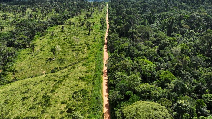An aerial view shows a deforested area during an operation to combat deforestation near Uruara, Para State, Brazil January 21, 2023. REUTERS/Ueslei Marcelino     TPX IMAGES OF THE DAY