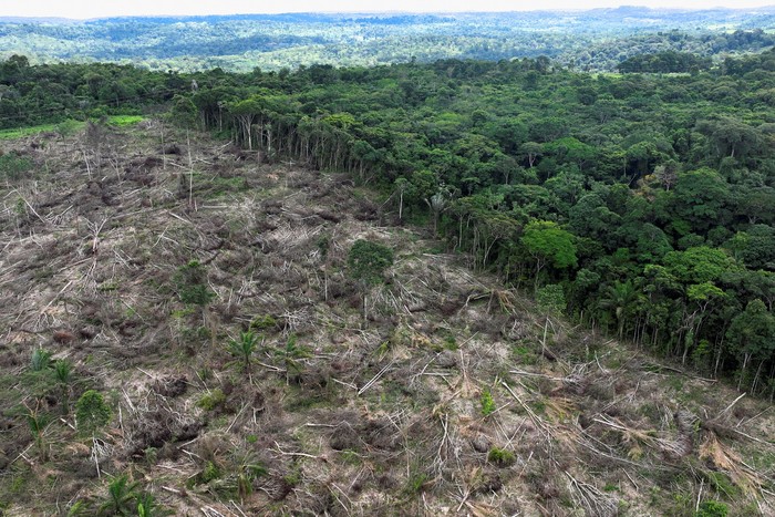 An aerial view shows a deforested area during an operation to combat deforestation near Uruara, Para State, Brazil January 21, 2023. REUTERS/Ueslei Marcelino     TPX IMAGES OF THE DAY