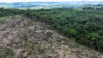 Kerja Keras Memerangi Penggundulan Hutan Amazon