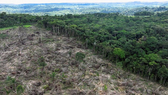 An aerial view shows a deforested area during an operation to combat deforestation near Uruara, Para State, Brazil January 21, 2023. REUTERS/Ueslei Marcelino     TPX IMAGES OF THE DAY