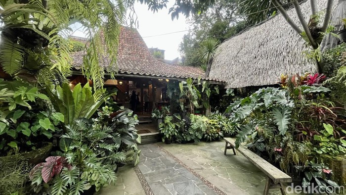 Warung Lela (Wale)