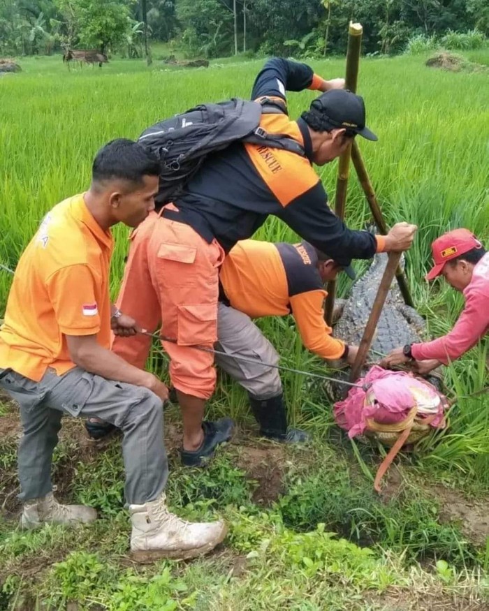 Buaya KSDA Jateng lepas di Jepara