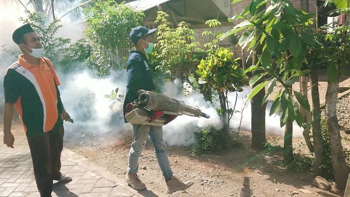 chikungunya di tulungagung