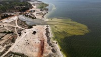 Danau Retba atau Lac Rose terletak di sebelah utara Semenanjung Cap Vert dan sebelah timur Laut Dakar, Senegal, biasanya berwarna ungu muda, kadang kala merah muda, dan suatu ketika merah pekat.