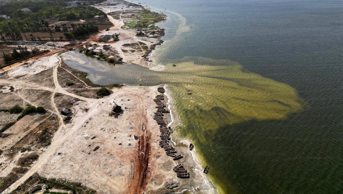 Danau Pink di Senegal Berubah Hijau, Kenapa Ya? Dead fishes lie on the bank of the Pink Lake ( Lac Rose), officially known as Lake Retba after extreme floods washed away salt mounts and contaminated the lake and turned its famous waters from Pink to green, in Niaga, near Dakar, Senegal, January 17, 2023. REUTERS/ Zohra Bensemra