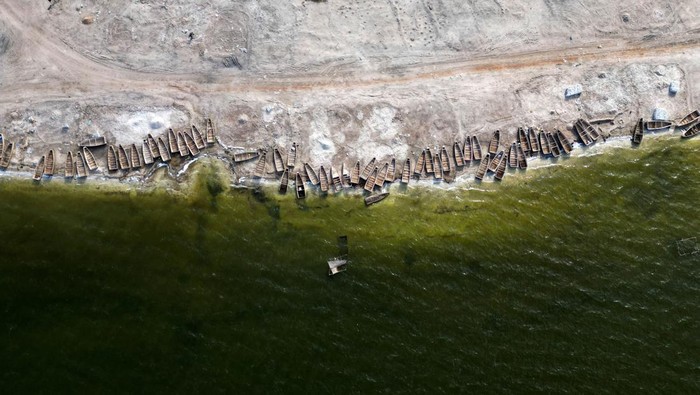Dead fishes lie on the bank of the Pink Lake ( Lac Rose), officially known as Lake Retba after extreme floods washed away salt mounts and contaminated the lake and turned its famous waters from Pink to green, in Niaga, near Dakar, Senegal, January 17, 2023. REUTERS/ Zohra Bensemra
