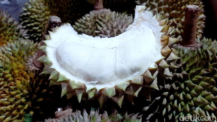 Durian loji khas Karawang Timur