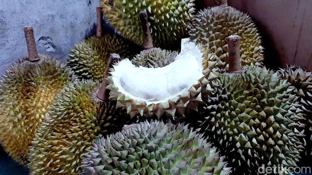 Durian loji khas Karawang Timur