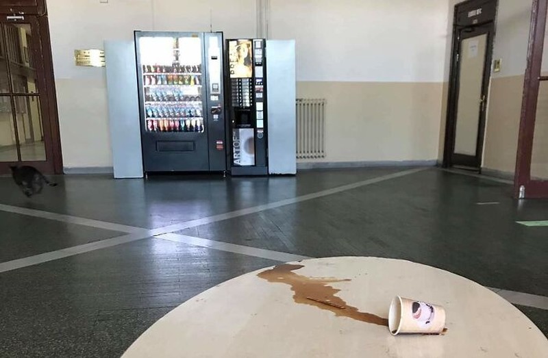 Iya, kucing memang hewan yang bergerak dengan sangat cepat sehingga sulit banget untuk memotretnya! Berikut ini beberapa contoh hasil usaha foto kucing.