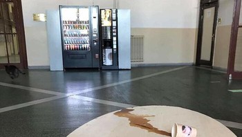 Kucingnya kabur. Foto: KIRMPY via Bored Panda