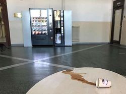 10 Bukti Butuh Usaha Keras Buat Foto Kucing, Pusing!