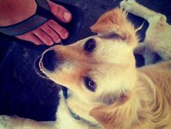 Foto Paling Bersejarah di Dunia Fotografi Karena Serba Pertama