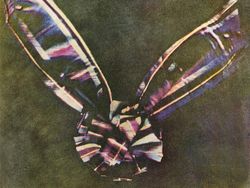 Foto Paling Bersejarah di Dunia Fotografi Karena Serba Pertama