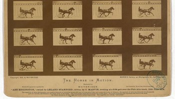Foto Gerak Pertama. Eadweard Muybridge memelopori seni mengabadikan gerakan dalam foto dengan menggunakan satu set kamera yang dipicu satu demi satu. Foto bingkai demi bingkai ini, diambil di Palo Alto, California, sangat penting dalam memajukan teknologi gambar bergerak. Foto: Boredpanda