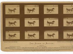 Foto Paling Bersejarah di Dunia Fotografi Karena Serba Pertama