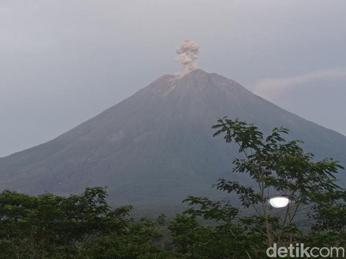 Gunung Semeru kembali erupsi. Erupsi terjadi pukul 05.40 WIB, Rabu (25/1/2023)