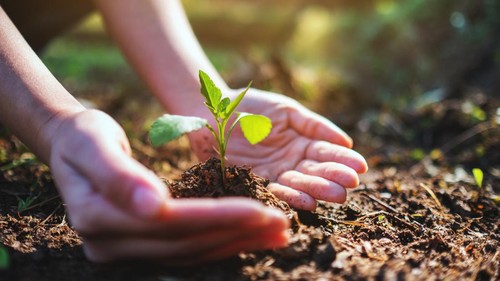 Ilustrasi Hari Pendidikan Lingkungan Internasional 26 Januari