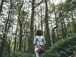 15 Ciri Orang dengan Kecerdasan Naturalis, Ada di Kamu?