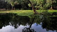Destinasi wisata yang menawarkan keindahan danau dan hutan yang rindang tersebut kini menjadi favorit bagi wisatawan yang berkunjung di Biak setelah keberadaannya viral di media sosial pada 2022.