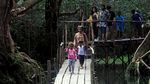 Menjelajahi Hutan Negeri Dongeng di Papua
