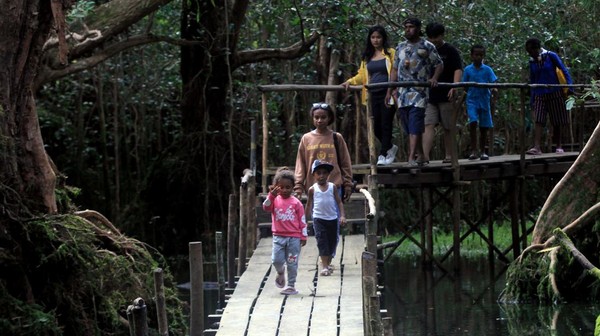 Sejumlah wisatawan menyusuri jembatan kayu di Hutan Negeri Dongeng, Kampung Padwa, Distrik Yendidori, Kabupaten Biak Numfor, Papua, Selasa (24/1/2023).