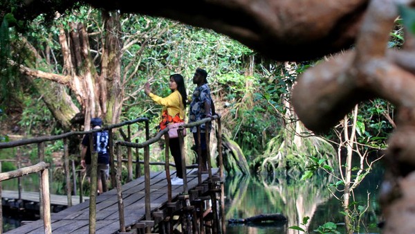 Sejumlah wisatawan berswafoto di Hutan Negeri Dongeng, Kampung Padwa, Distrik Yendidori, Kabupaten Biak Numfor, Papua, Selasa (24/1/2023). Sejumlah wisatawan berswafoto di Hutan Negeri Dongeng, Kampung Padwa, Distrik Yendidori, Kabupaten Biak Numfor, Papua, Selasa (24/1/2023).