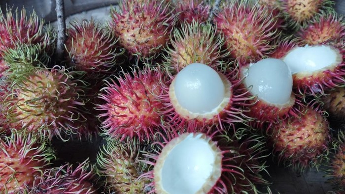 Rambutan Blitar